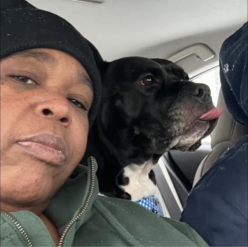 NY dog being hailed as hero for alerting sleepy owner to massive ...