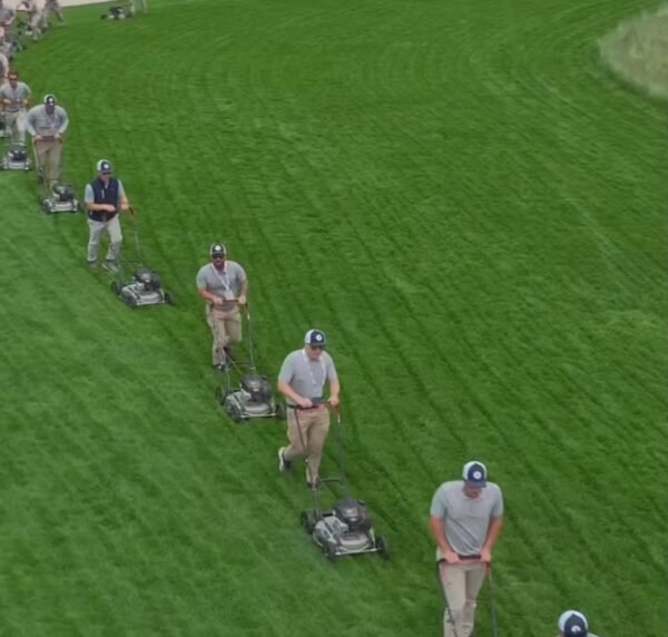 Unplayable Lawnmowers at ‘unplayable’ US Open golf course go viral - New York Hots!