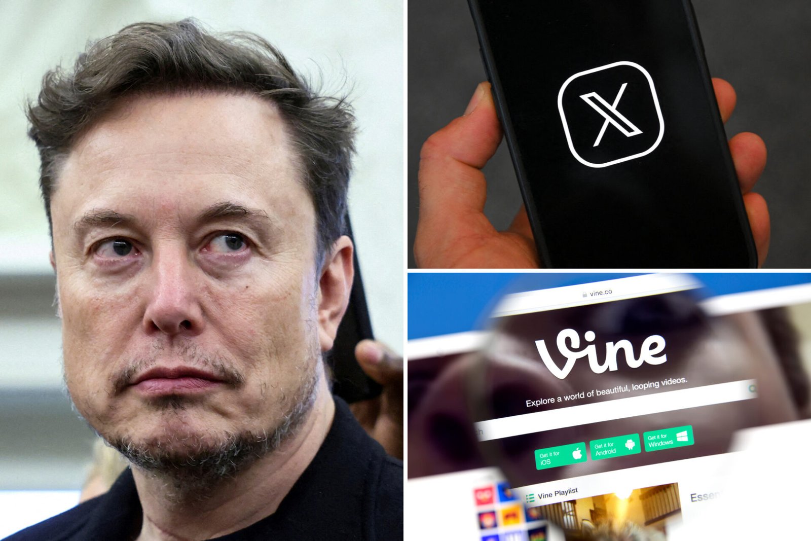 Elon Musk says X will bring back Vine — with an AI twist — to rival ...