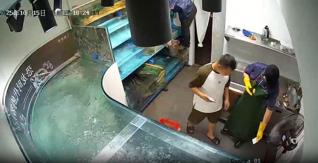 Giant fish tank explodes at Chinese restaurant — sending fish swimming ...